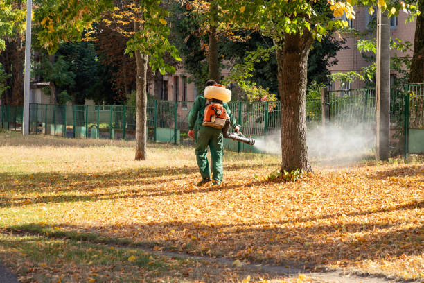 Best Local Pest Control Services  in Jeannette, PA