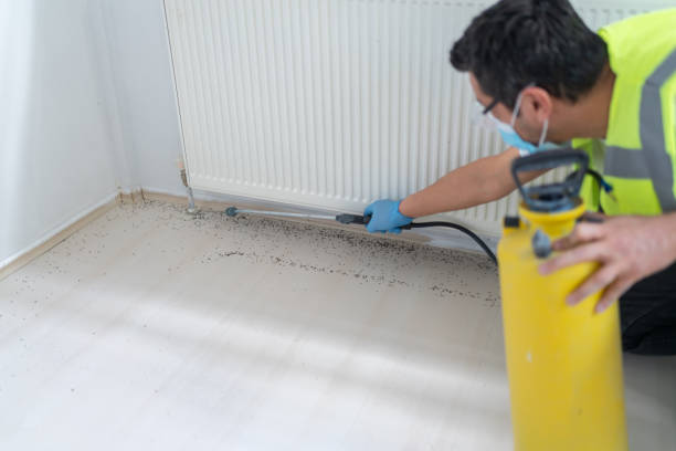 Best Pest Removal Services  in Jeannette, PA